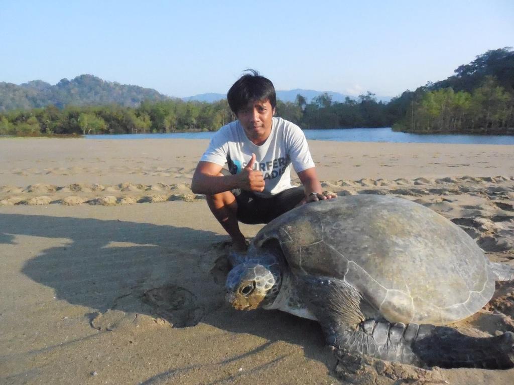 Banyuwangi Homestay Exteriér fotografie